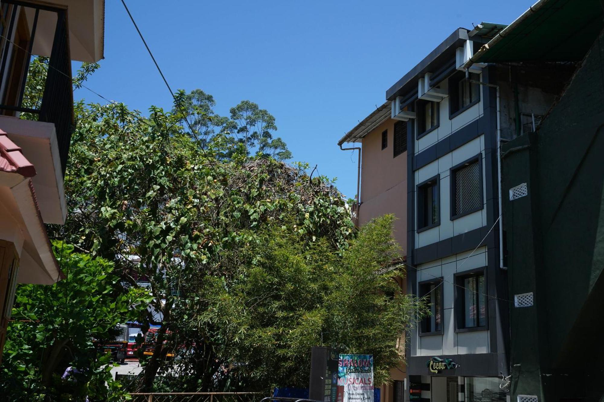 Oyo Hotel Cocoa Tree Munnar Dış mekan fotoğraf